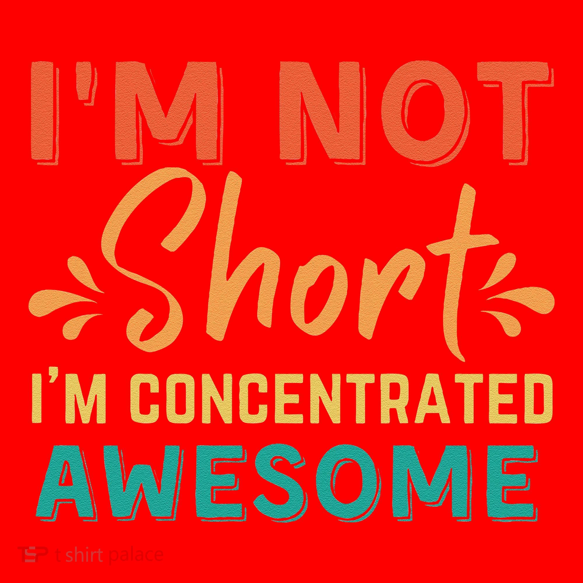 IM Not Short IM Just Concentrated Awesome Funny Santa Hat