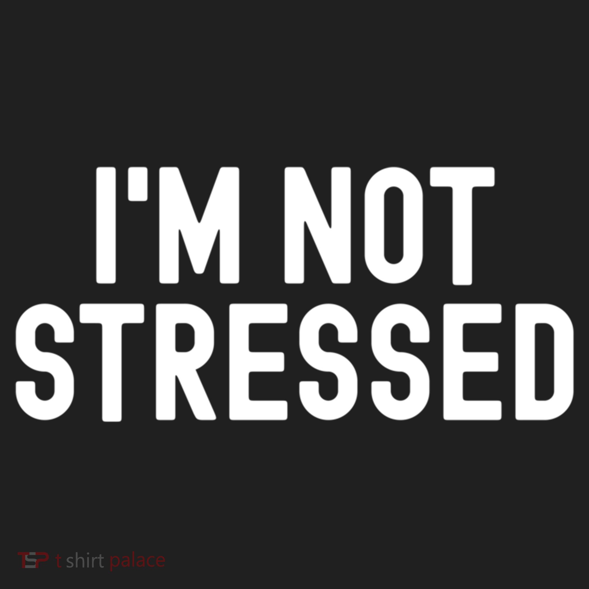 Im Not Stressed White Lie Party Funny Sarcastic Ironic Joke Great Gift Beanie