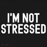Im Not Stressed White Lie Party Funny Sarcastic Ironic Joke Great Gift Pajama Set thumb 2