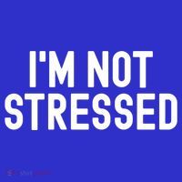 Im Not Stressed White Lie Party Funny Sarcastic Ironic Joke Great Gift Sweatshirt thumb 3