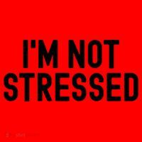 Im Not Stressed White Lie Party Funny Sarcastic Ironic Joke Great Gift Santa Hat thumb 1