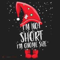 I'm Not Short I'm Gnome Size Beanie thumb 2