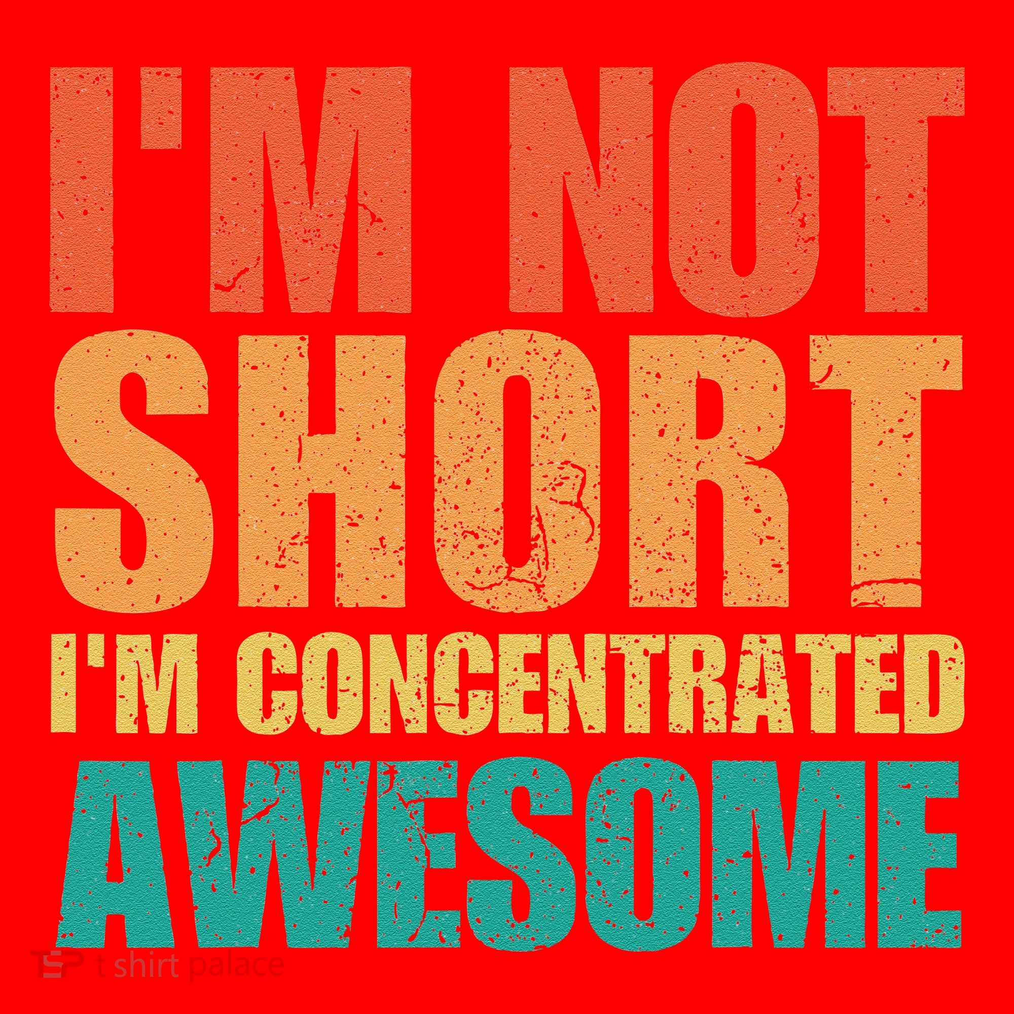 IM Not Short IM Just Concentrated Awesome Funny Santa Hat