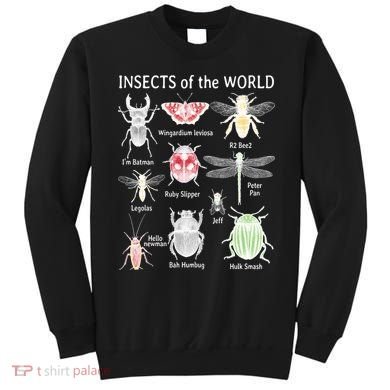 Insects Of The World Sweatshirt