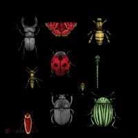 Insects Of The World Coffee Mug thumb 5