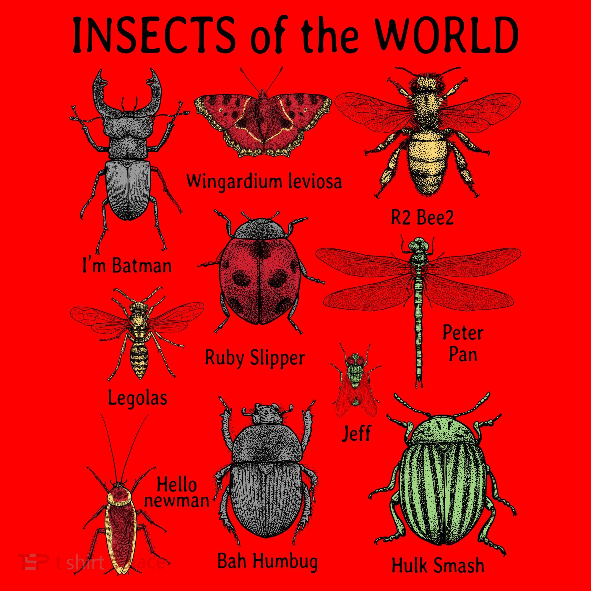 Insects Of The World Santa Hat
