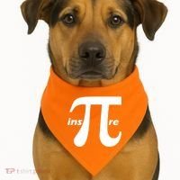 InsPIre USA-Made Doggie Bandana thumb 1