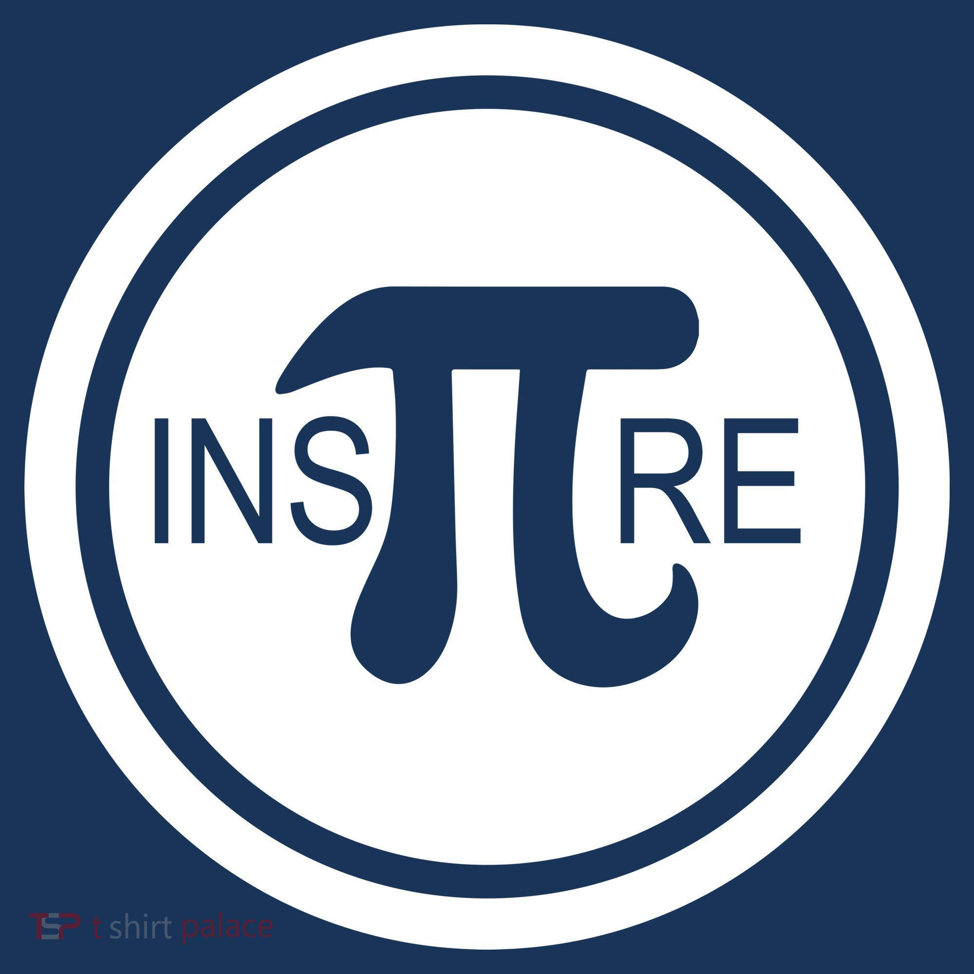 Inspire Pi 3.14 Beanie