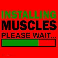Installing Muscles Please Wait... Santa Hat thumb 1