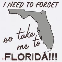 I Need To Forget So Take Me To Florida Ttpd Kids Sweatshirt thumb 2