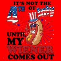 Its Not The 4th Of July Until My Wiener Comes Out Funny Santa Hat thumb 1