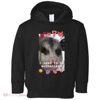 Toddler Hoodie