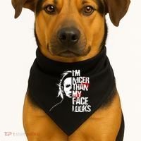 Im Nicer Than My Face Looks Spooky Halloween USA-Made Doggie Bandana thumb 1