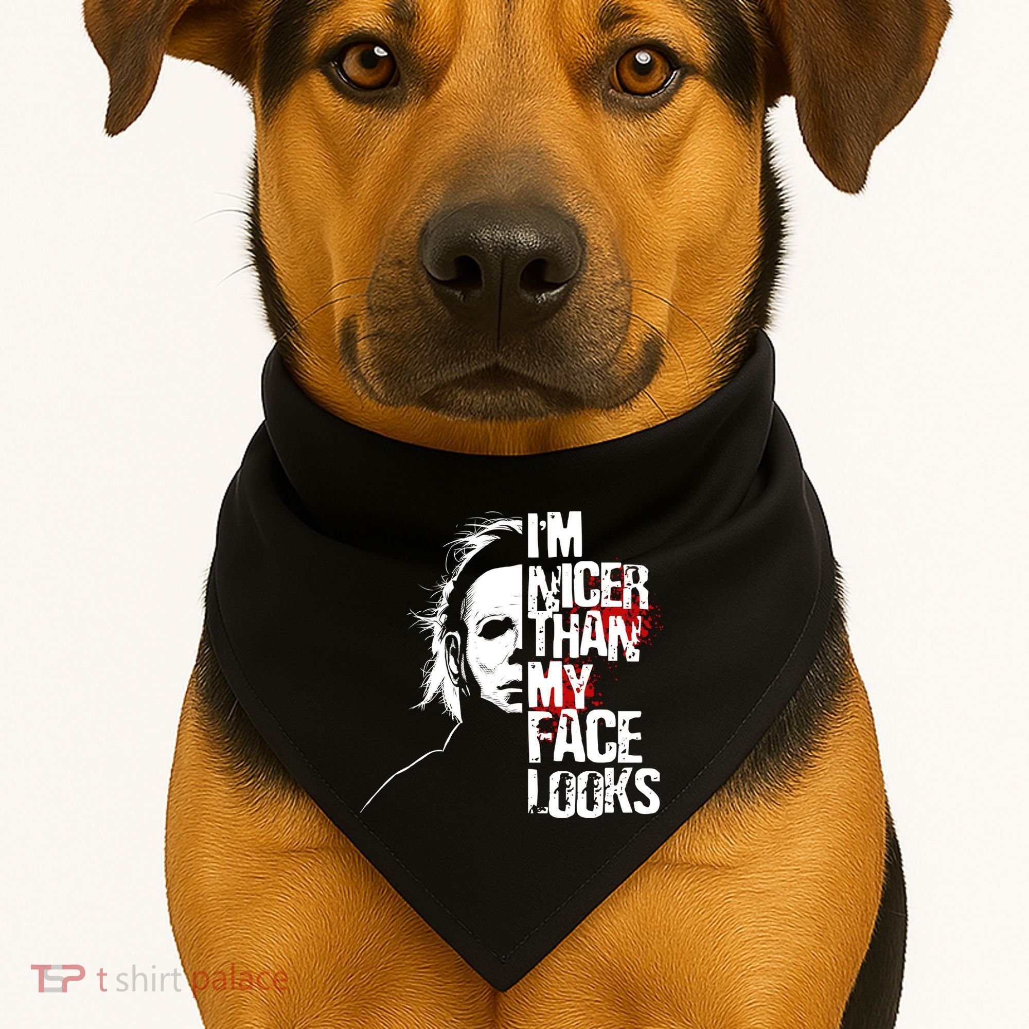 Im Nicer Than My Face Looks Spooky Halloween USA-Made Doggie Bandana
