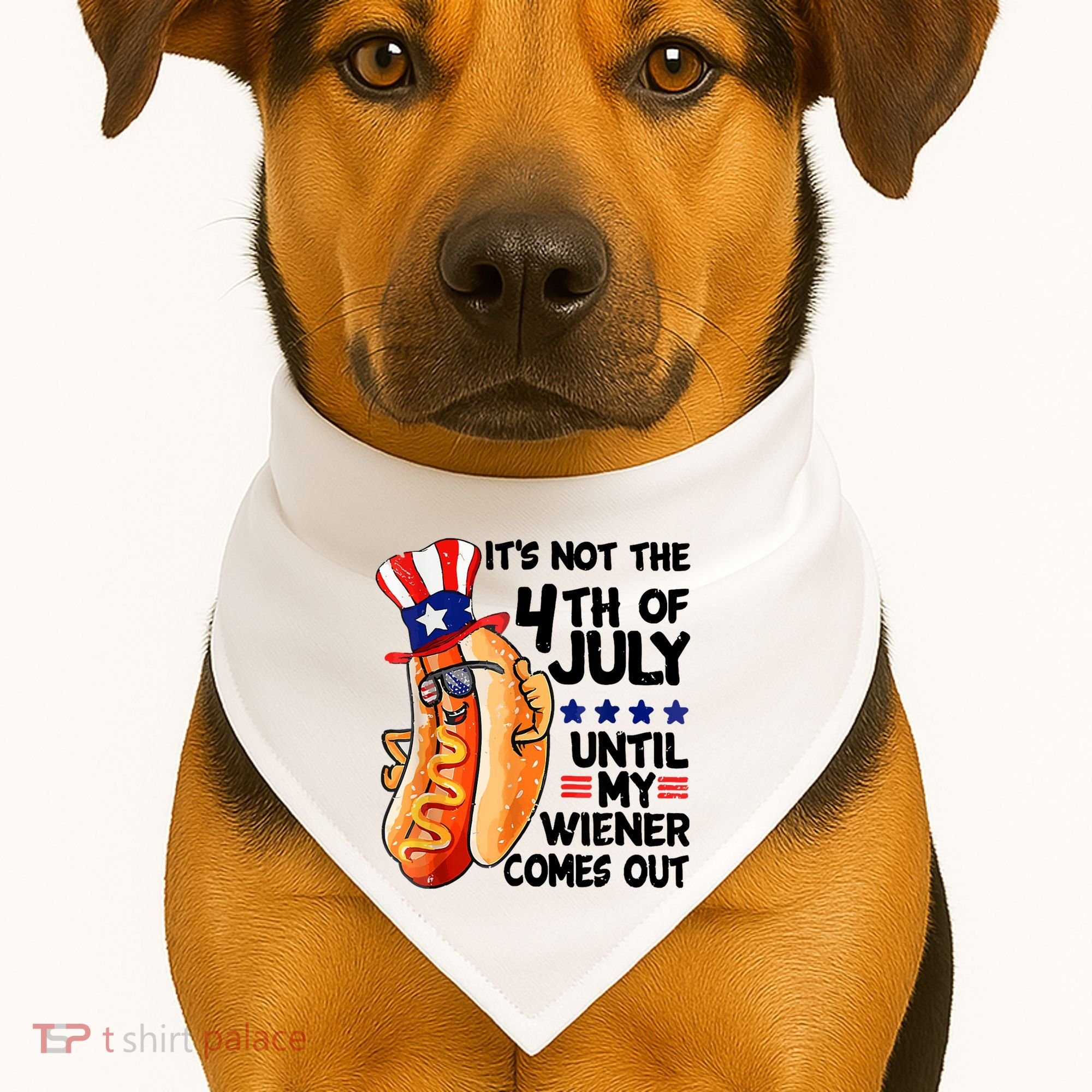 Its Not The 4th Of July Until My Weiner Comes Out USA-Made Doggie Bandana