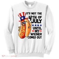 Its Not The 4th Of July Until My Weiner Comes Out Sweatshirt thumb 0