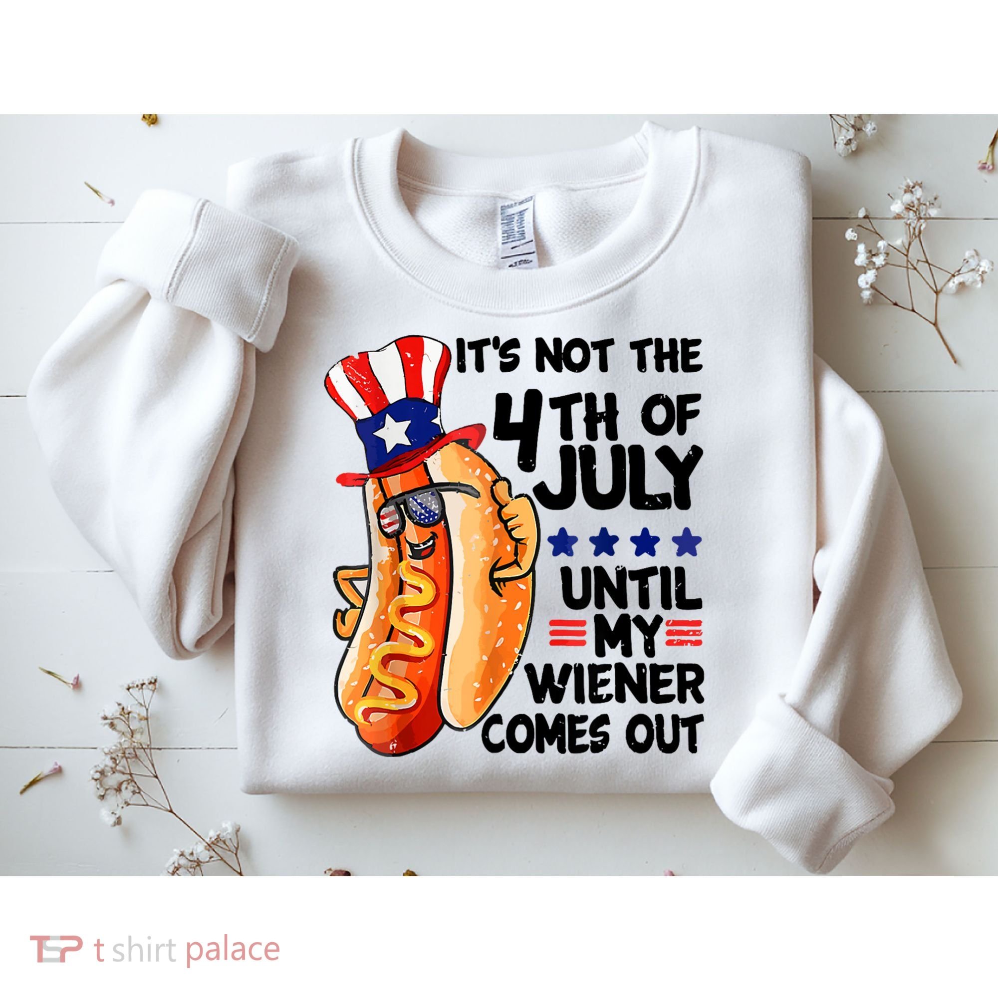 Its Not The 4th Of July Until My Weiner Comes Out Sweatshirt