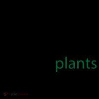 Introverted But Willing To Discuss Plants Coffee Mug thumb 5