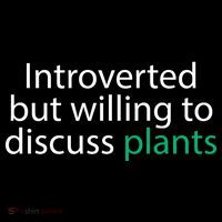 Introverted But Willing To Discuss Plants Ornament thumb 1