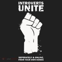 Introverts Unite Separately & Online Women's Sweatshirt thumb 2
