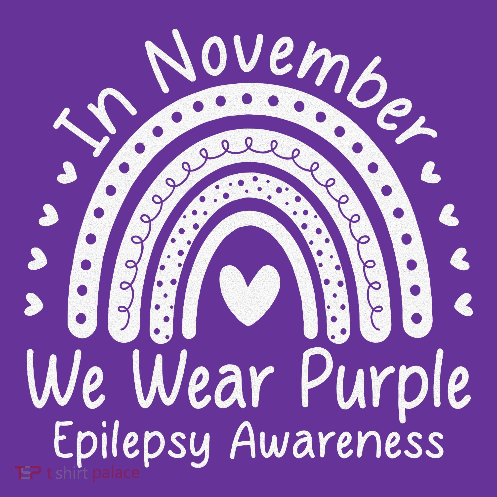 In November We Wear Purple Ribbon Warrior Epilepsy Awareness Gift Sweatshirt