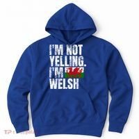 IM Not Yelling IM Welsh Quotes Graphic Funny Wales Gift Hoodie thumb 0
