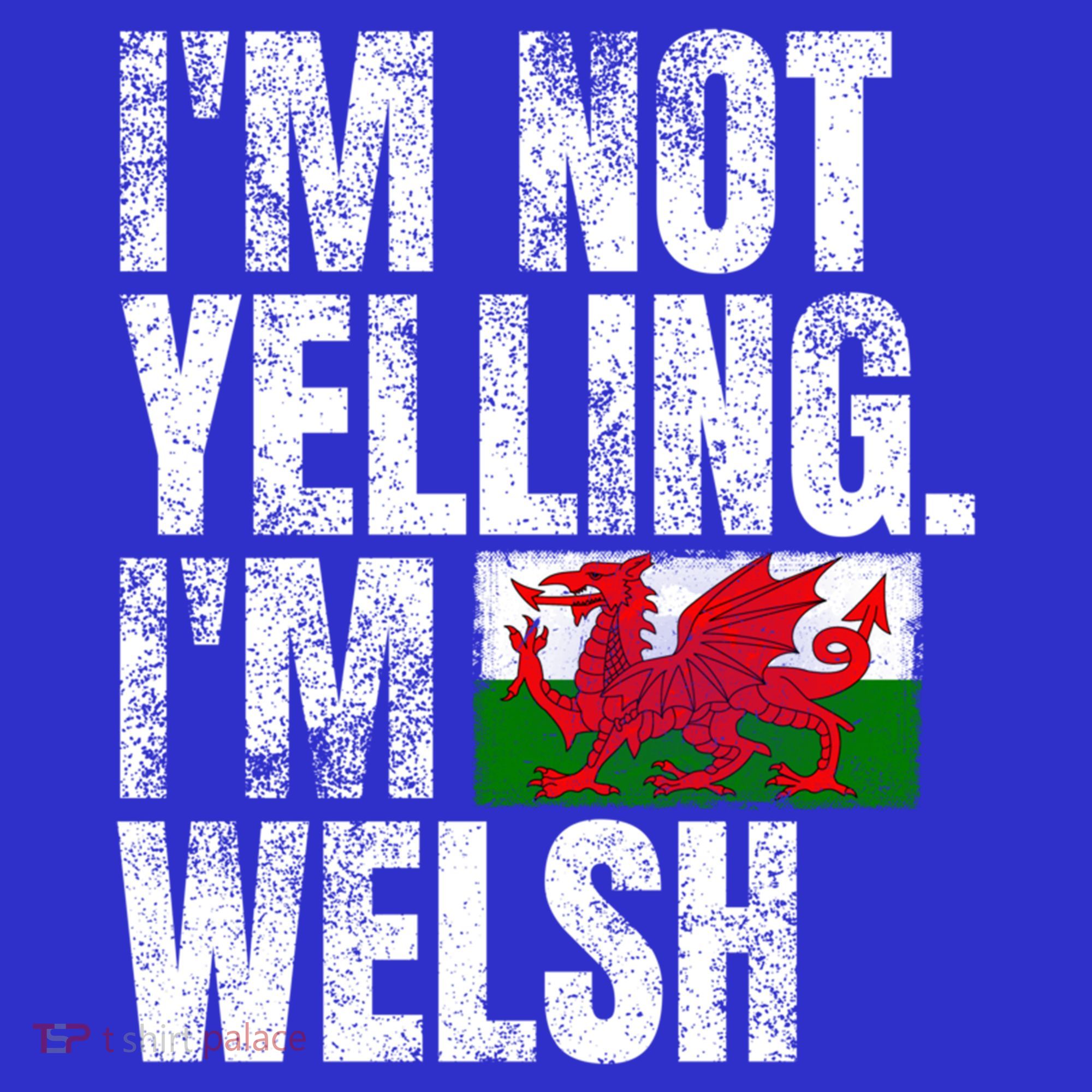 IM Not Yelling IM Welsh Quotes Graphic Funny Wales Gift Long Sleeve Shirt