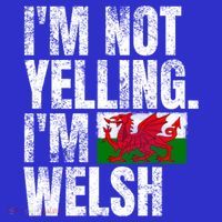 IM Not Yelling IM Welsh Quotes Graphic Funny Wales Gift Women's Tank Top thumb 5