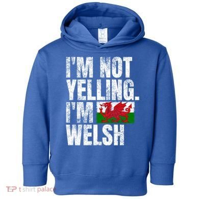 IM Not Yelling IM Welsh Quotes Graphic Funny Wales Gift Toddler Hoodie