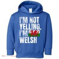 IM Not Yelling IM Welsh Quotes Graphic Funny Wales Gift Toddler Hoodie thumb 0