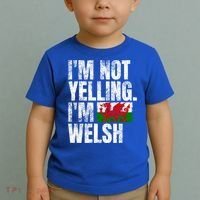 IM Not Yelling IM Welsh Quotes Graphic Funny Wales Gift Toddler T-Shirt thumb 2