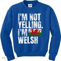 IM Not Yelling IM Welsh Quotes Graphic Funny Wales Gift Kids Sweatshirt thumb 0