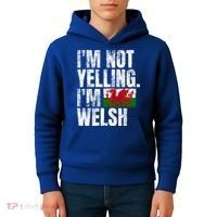 IM Not Yelling IM Welsh Quotes Graphic Funny Wales Gift Kids Hoodie thumb 4