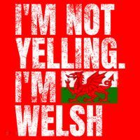 IM Not Yelling IM Welsh Quotes Graphic Funny Wales Gift Santa Hat thumb 1