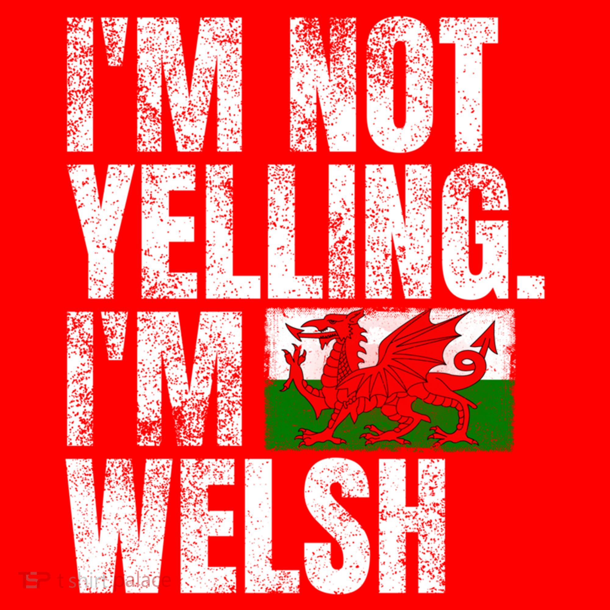 IM Not Yelling IM Welsh Quotes Graphic Funny Wales Gift Santa Hat