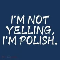 IM Not Yelling IM Polish Hoodie thumb 2
