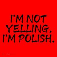 IM Not Yelling IM Polish Santa Hat thumb 1