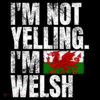 IM Not Yelling IM Welsh Quotes Graphic Funny Wales Meaningful Gift Coffee Mug thumb 5