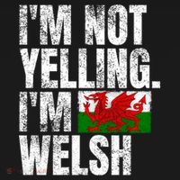 IM Not Yelling IM Welsh Quotes Graphic Funny Wales Meaningful Gift Ornament thumb 1