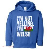 IM Not Yelling IM Welsh Quotes Graphic Funny Wales Meaningful Gift Toddler Hoodie thumb 0