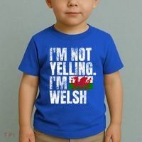 IM Not Yelling IM Welsh Quotes Graphic Funny Wales Meaningful Gift Toddler T-Shirt thumb 2