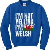 IM Not Yelling IM Welsh Quotes Graphic Funny Wales Meaningful Gift Kids Sweatshirt thumb 0