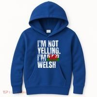 IM Not Yelling IM Welsh Quotes Graphic Funny Wales Meaningful Gift Kids Hoodie thumb 0