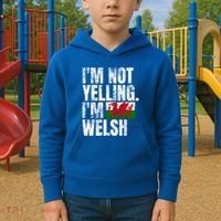 IM Not Yelling IM Welsh Quotes Graphic Funny Wales Meaningful Gift Kids Hoodie thumb 2