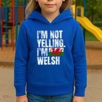 IM Not Yelling IM Welsh Quotes Graphic Funny Wales Meaningful Gift Kids Hoodie thumb 3