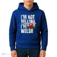 IM Not Yelling IM Welsh Quotes Graphic Funny Wales Meaningful Gift Kids Hoodie thumb 4