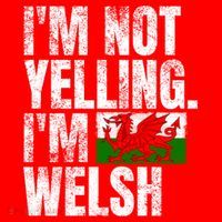 IM Not Yelling IM Welsh Quotes Graphic Funny Wales Meaningful Gift Santa Hat thumb 1