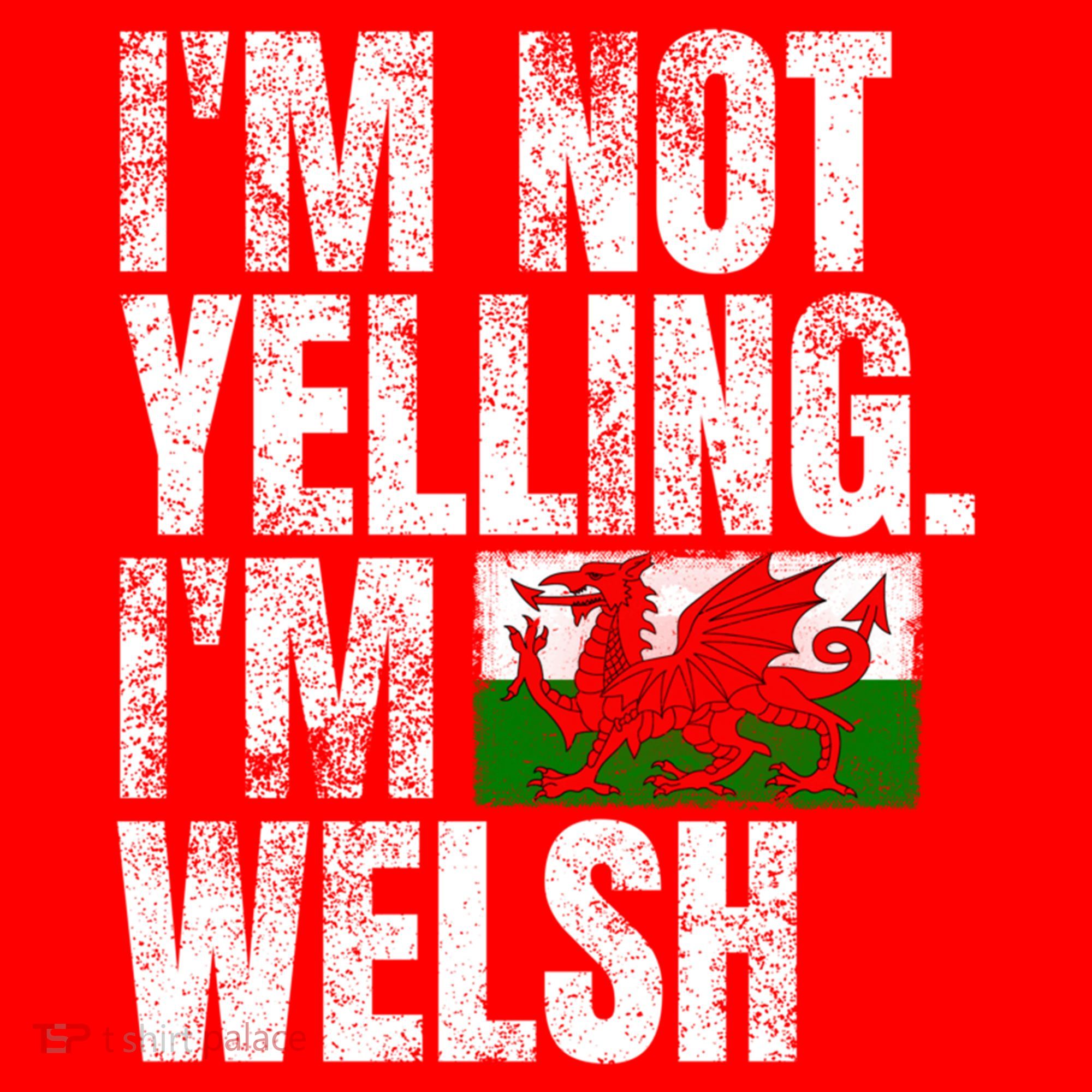 IM Not Yelling IM Welsh Quotes Graphic Funny Wales Meaningful Gift Santa Hat