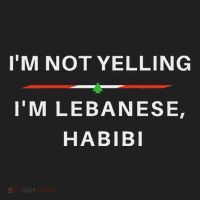 IM Not Yelling IM Lebanese Habibi Funny Arabic Tumbler thumb 3