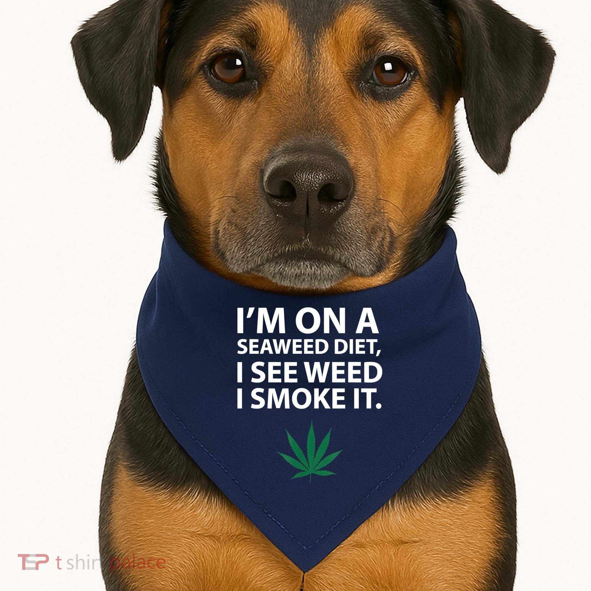I'm On A Seaweed Diet I See Weed I Smoke It Pot USA-Made Doggie Bandana